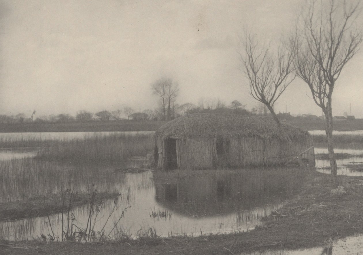 Reed Boat-house tekijältä Peter Henry Emerson and T.F. Goodall