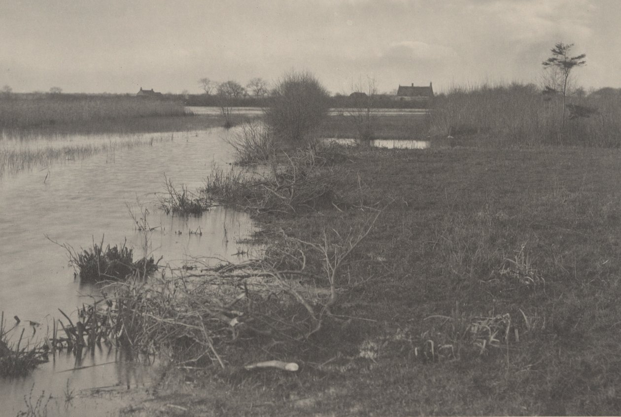 Syksyinen aamu tekijältä Peter Henry Emerson and T.F. Goodall