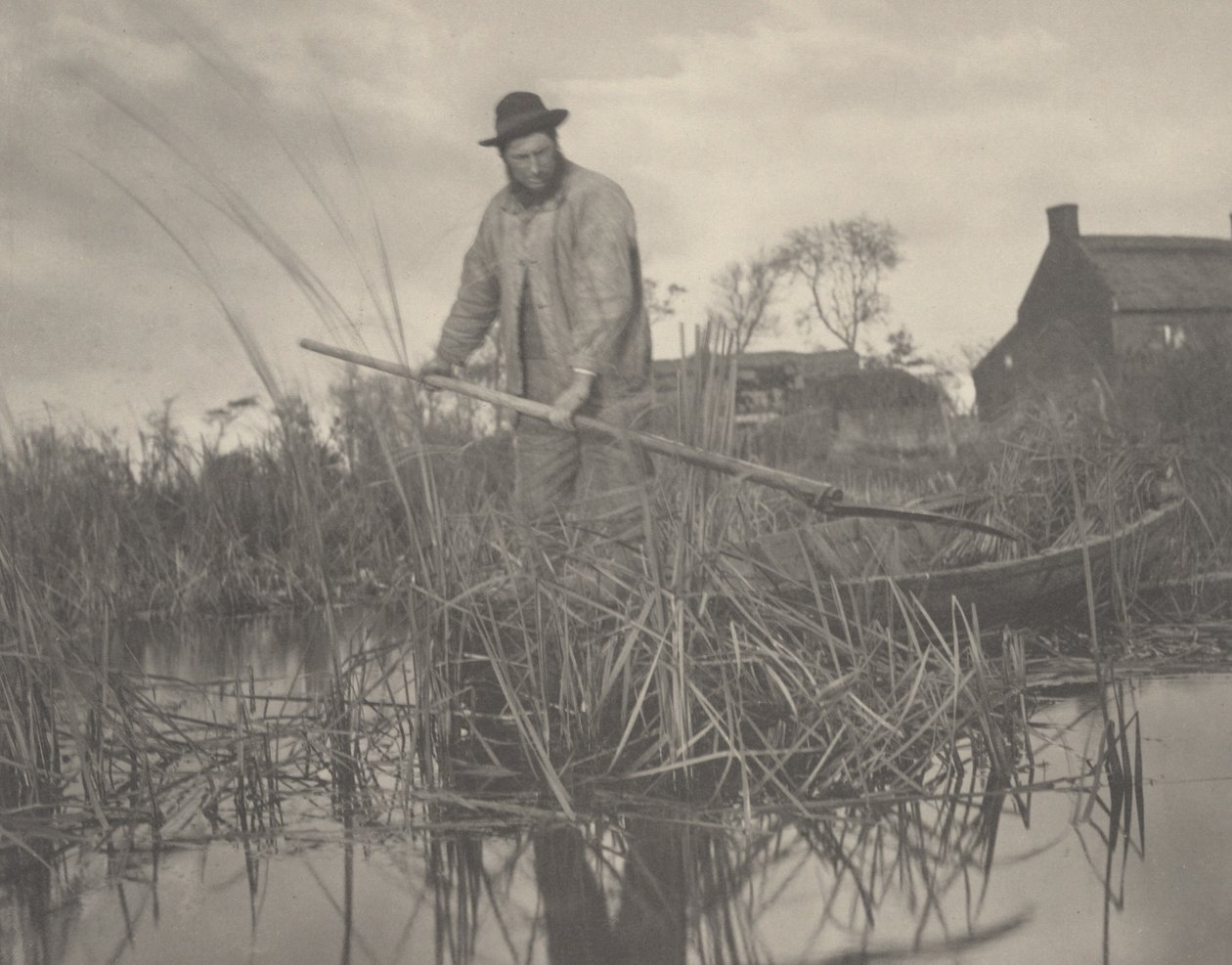 Gladdonin leikkaaminen tekijältä Peter Henry Emerson and T.F. Goodall
