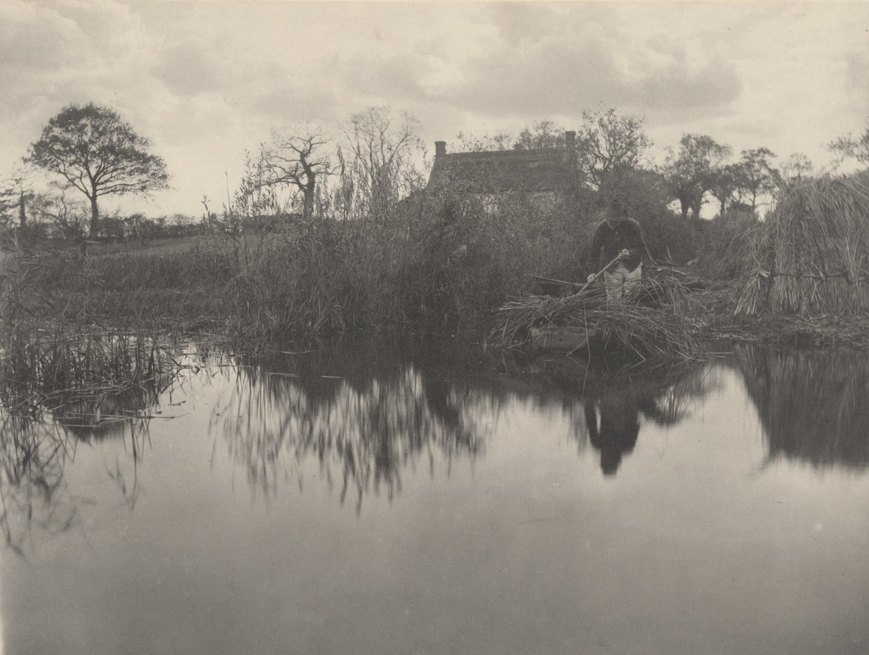 Gladdonia laskettaessa tekijältä Peter Henry Emerson and T.F. Goodall