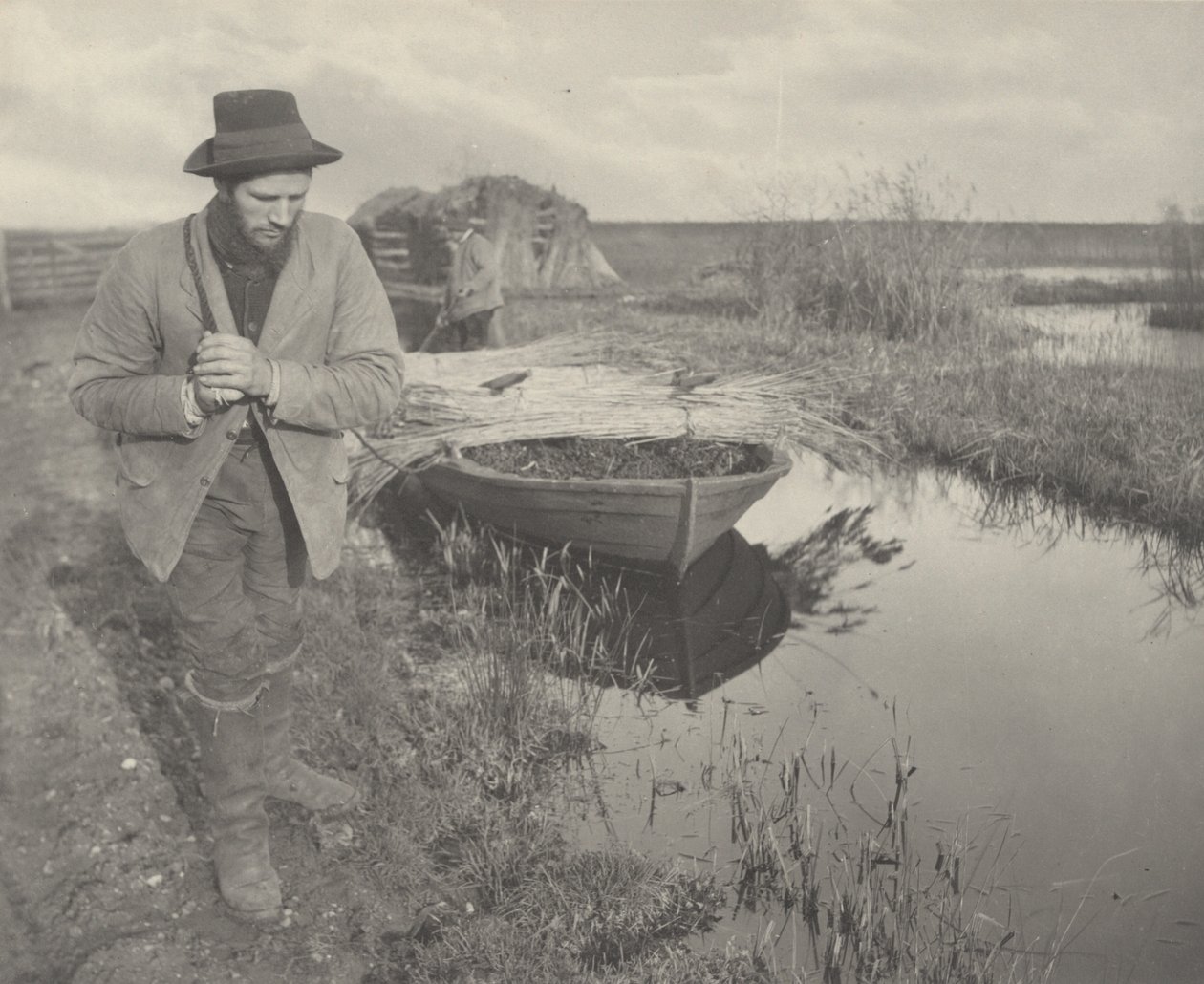Reedin hinaaminen tekijältä Peter Henry Emerson and T.F. Goodall