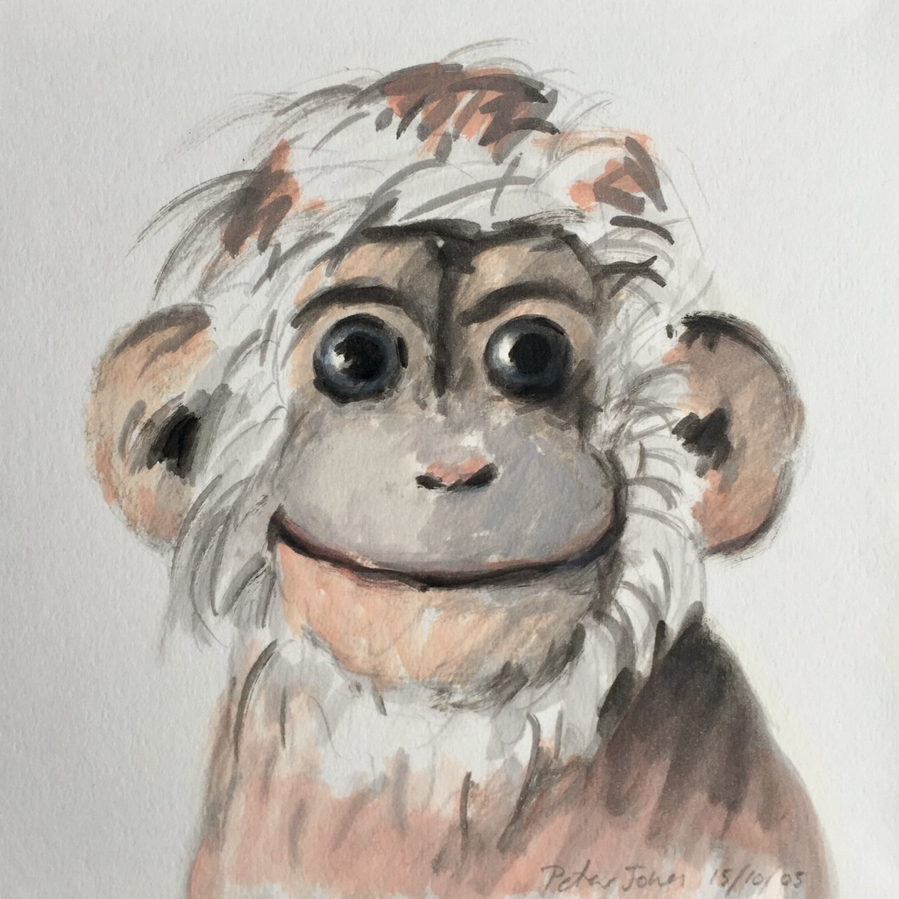 Happy Monkey, 2005 tekijältä Peter Jones