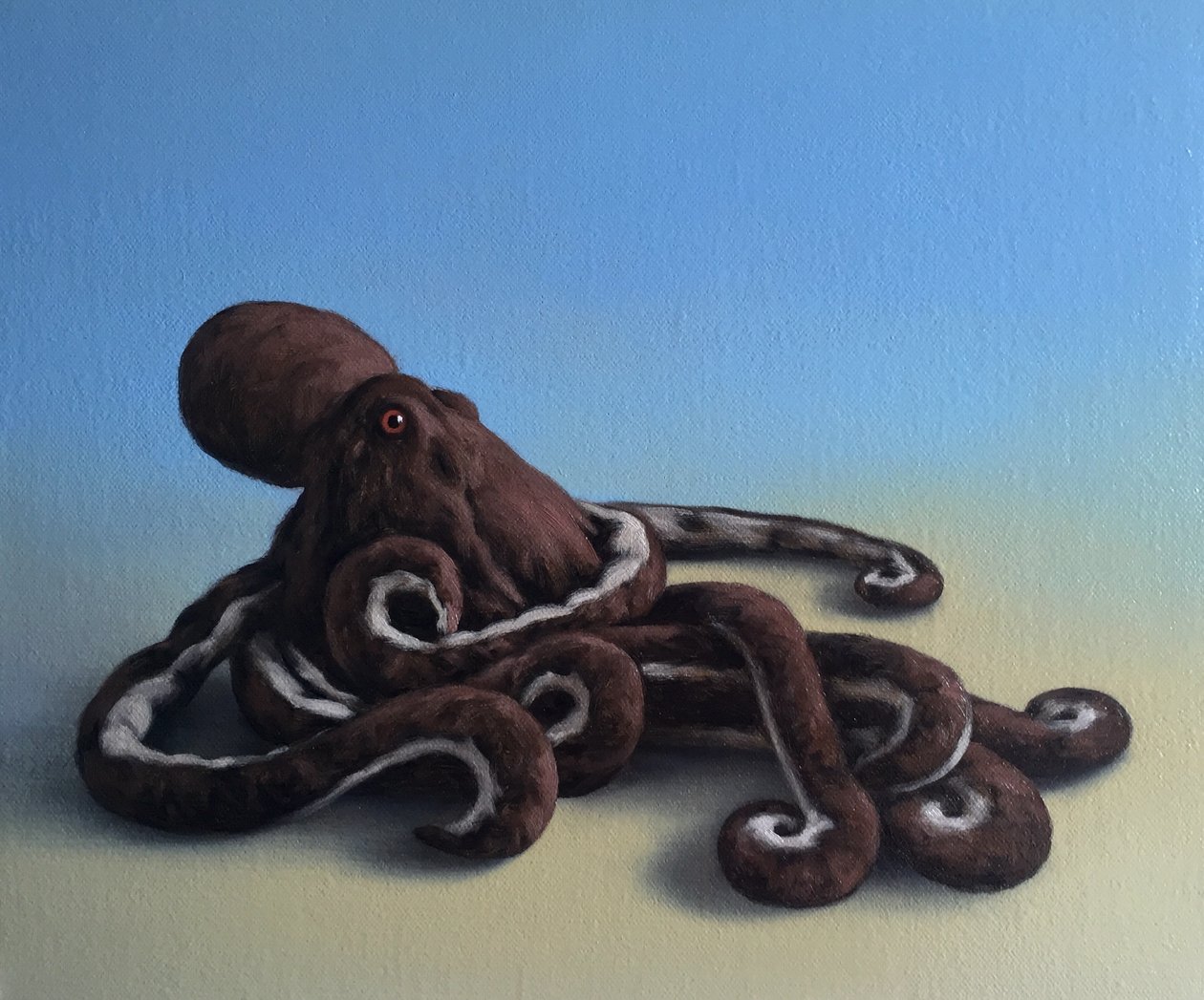Mustekala, 2016 tekijältä Peter Jones