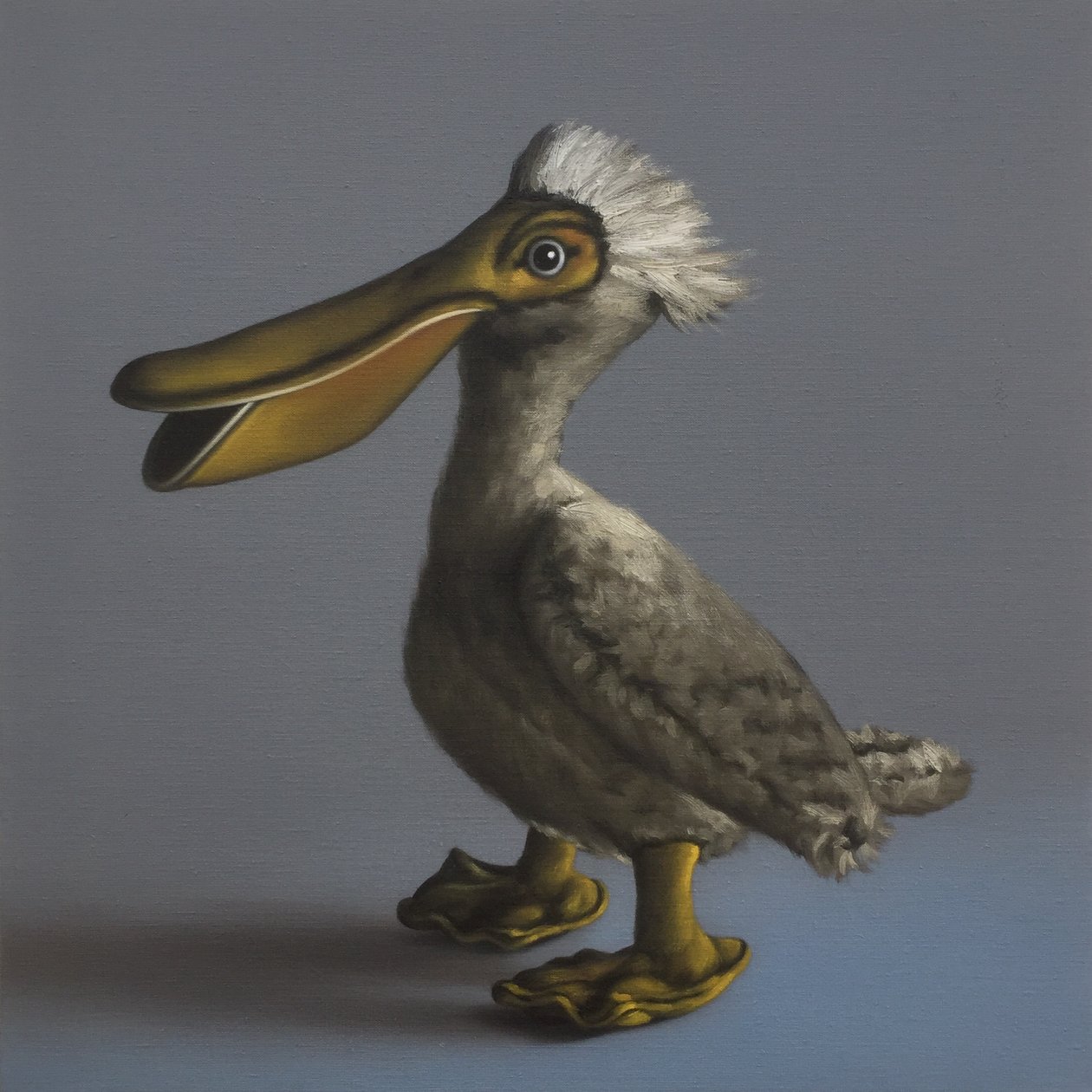 Pelikaani, 2017 tekijältä Peter Jones