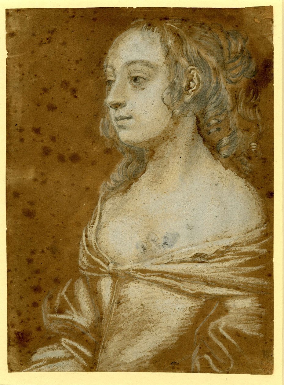 Naisen muotokuva












 hiukset puolipitkinä kiharoina... tekijältä Peter Lely