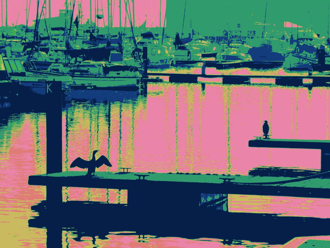COURT-SHIP HARTLEPOOL, 2014, (digitaalisesti parannettu kuva) tekijältä Peter McClure