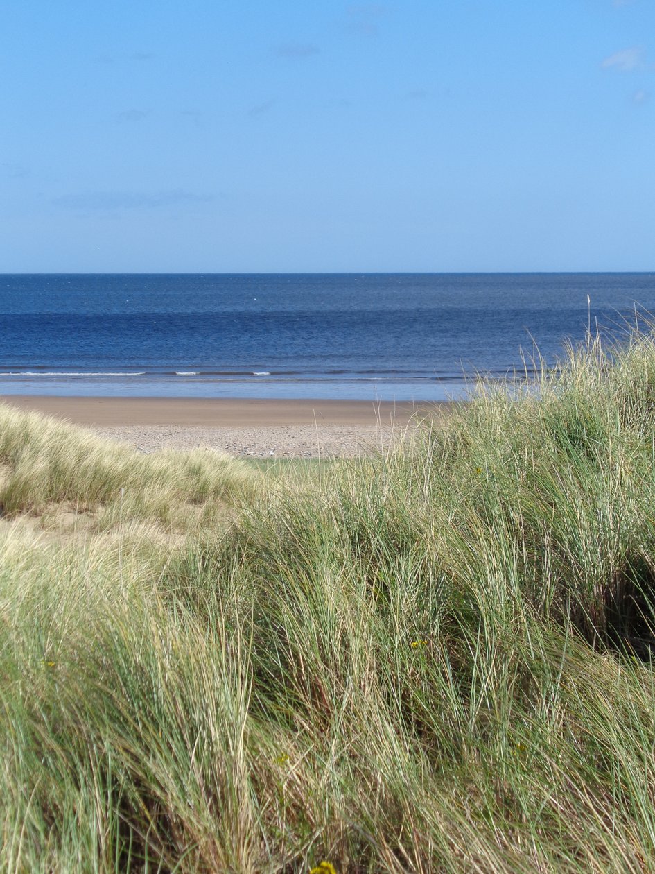 DURHAM COAST No.1, 2015, (KUVA} tekijältä Peter McClure