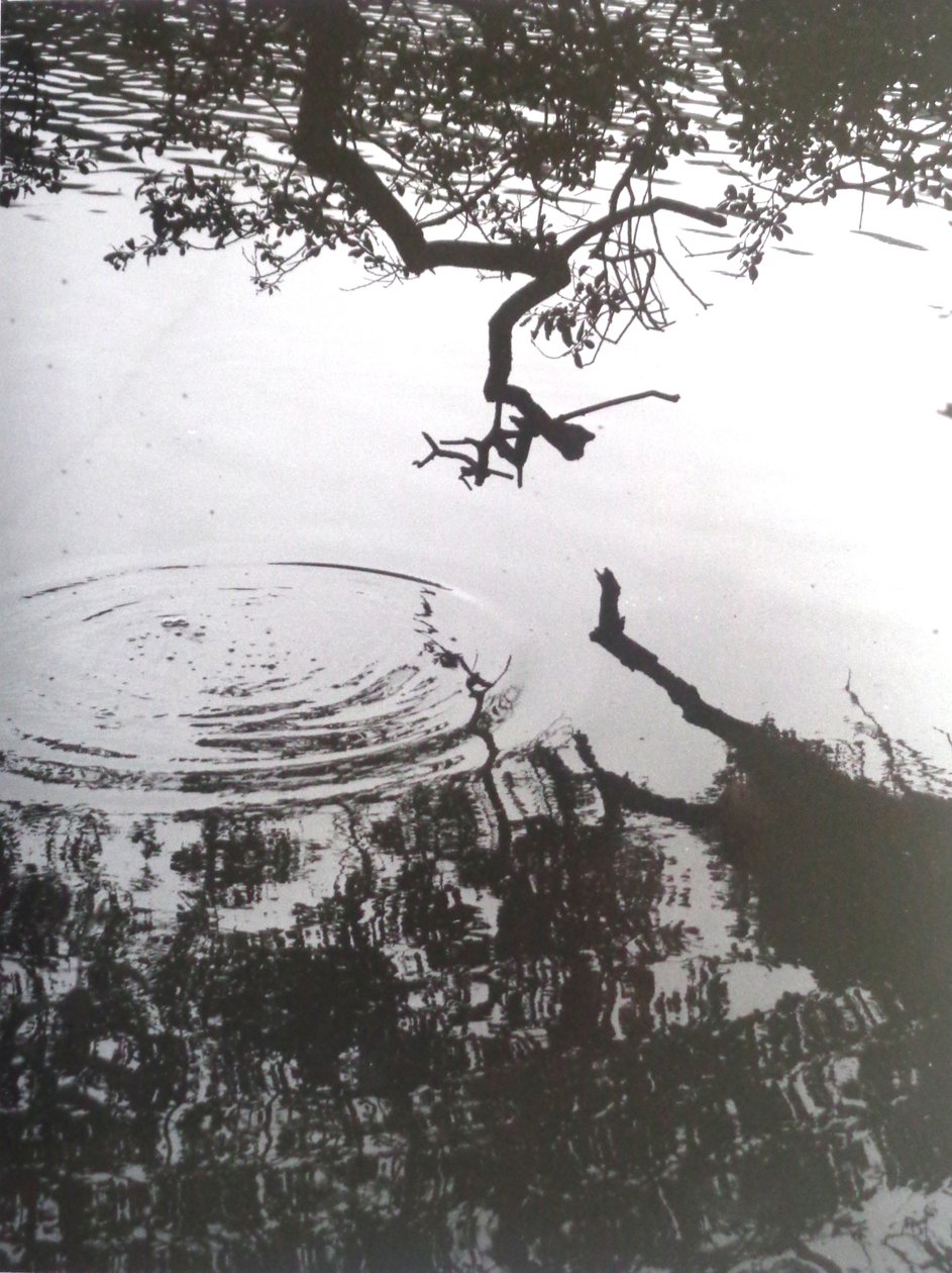 VINTAGE B&W PHOTO No.5, 1986, (VALOKUVA) tekijältä Peter McClure