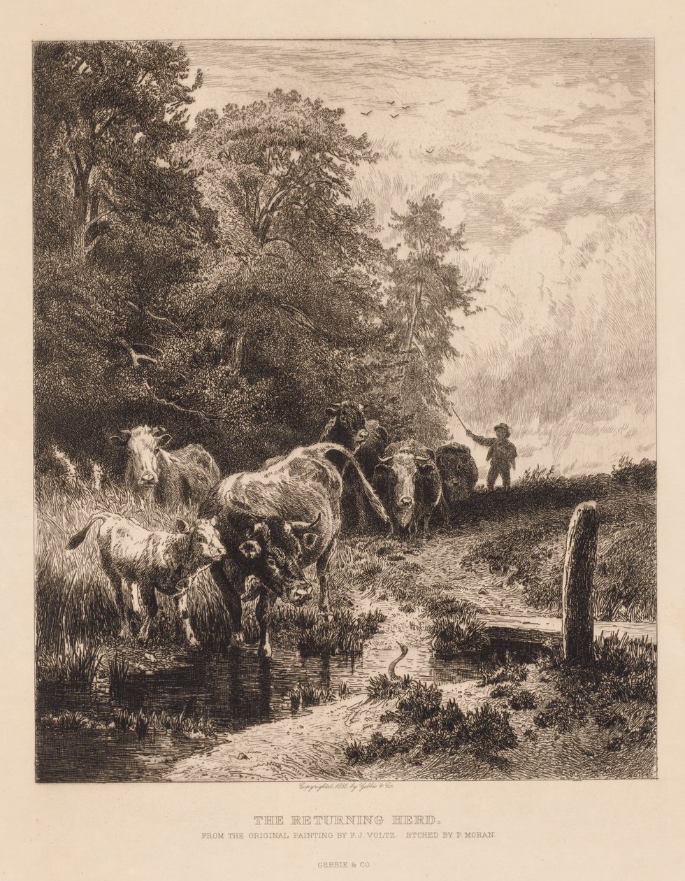 Palattava lauma, c. 1885. tekijältä Peter Moran