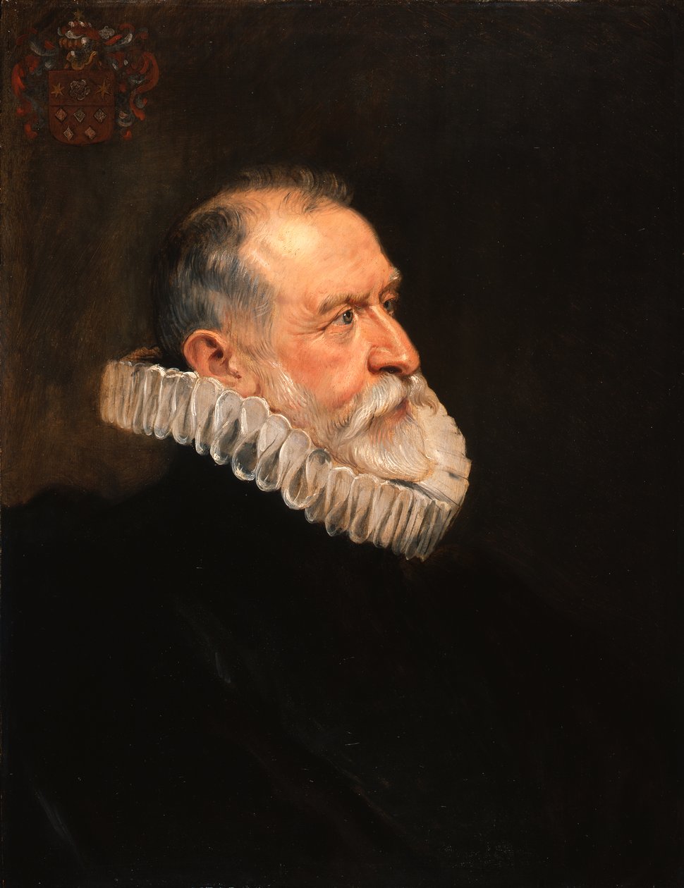 Vanhemman miehen muotokuva tekijältä Peter Paul Rubens