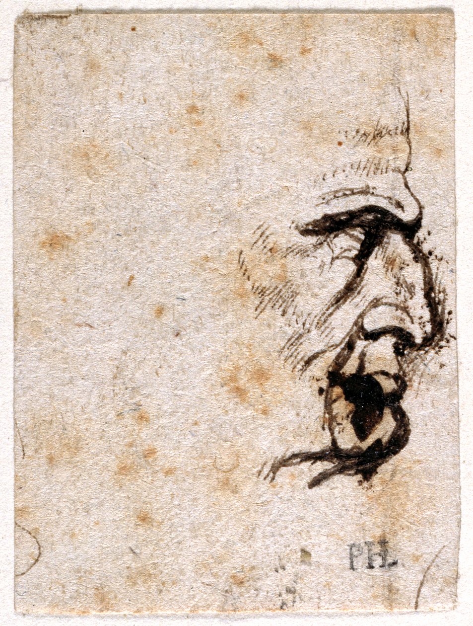 Galba, kymmenestä piirroksesta kahdeksasta ensimmäisestä kahdestatoista keisarista, Giovanni da Cavinon mitalien jälkeen (kynä ja muste paperille) tekijältä Peter Paul Rubens