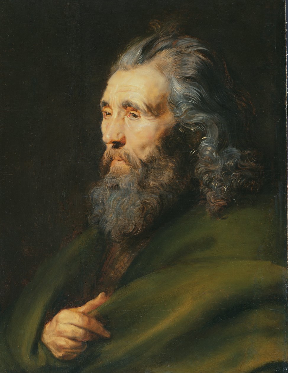 Päätutkimus parrakkaasta miehestä, n. 1617 tekijältä Peter Paul Rubens