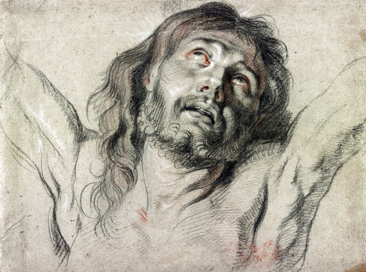 Kristuksen pää ristillä Peter Paul Rubens (piirustus) tekijältä Peter Paul Rubens