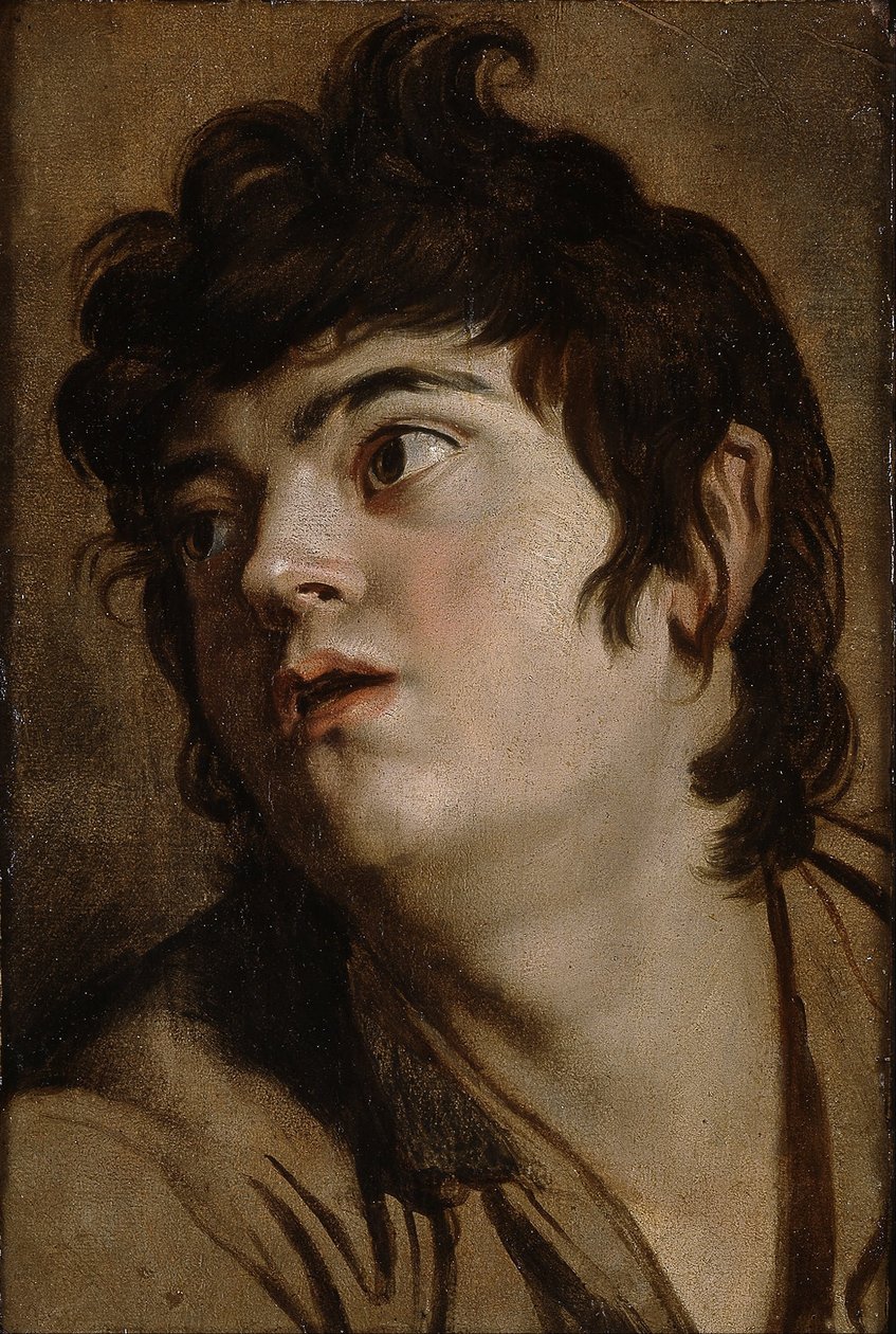 Nuoren miehen pää tekijältä Peter Paul Rubens