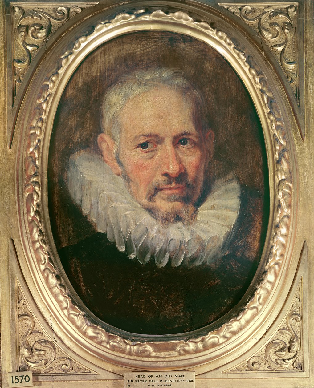 Vanhan miehen pää (öljy kankaalle) tekijältä Peter Paul Rubens