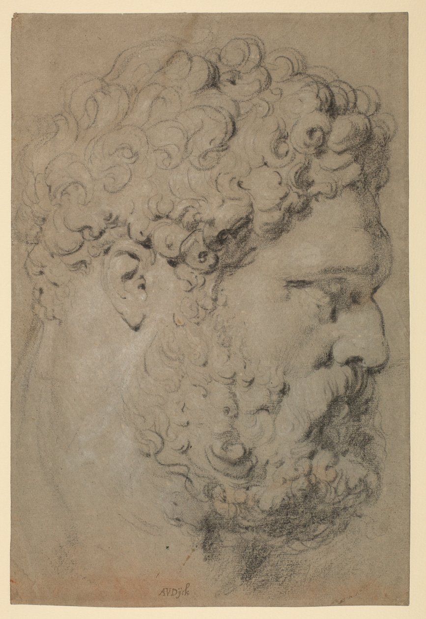 Farnese Herculesin johtaja tekijältä Peter Paul Rubens