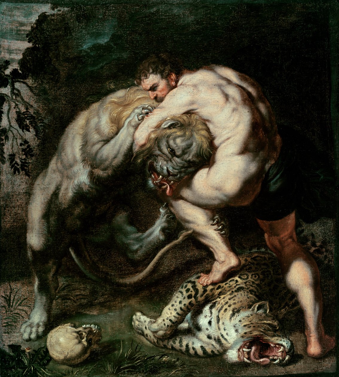 Hercules taistelee Nemean-leijonaa vastaan tekijältä Peter Paul Rubens
