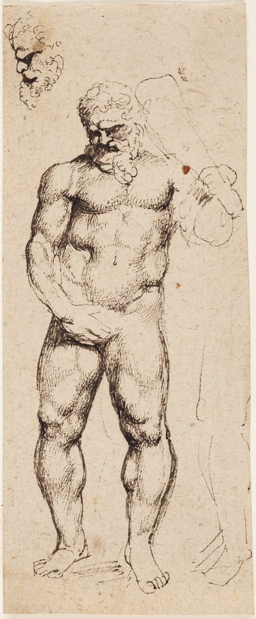 Hercules tekijältä Peter Paul Rubens