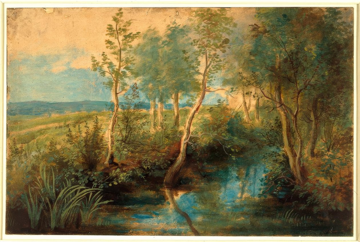 Maisema, jossa puro puiden peitossa tekijältä Peter Paul Rubens