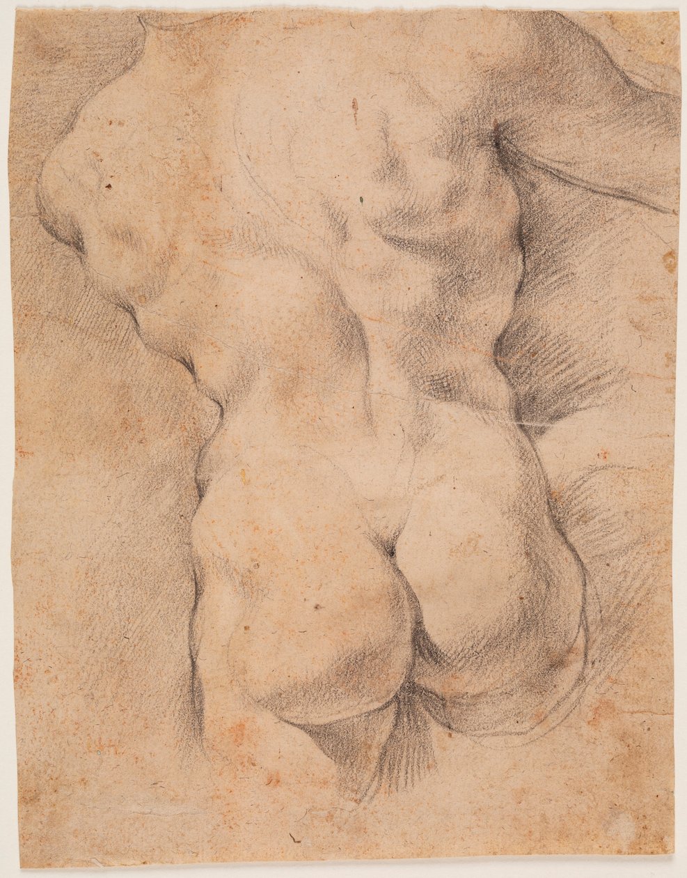 Miehen vartalo takaapäin nähtynä tekijältä Peter Paul Rubens