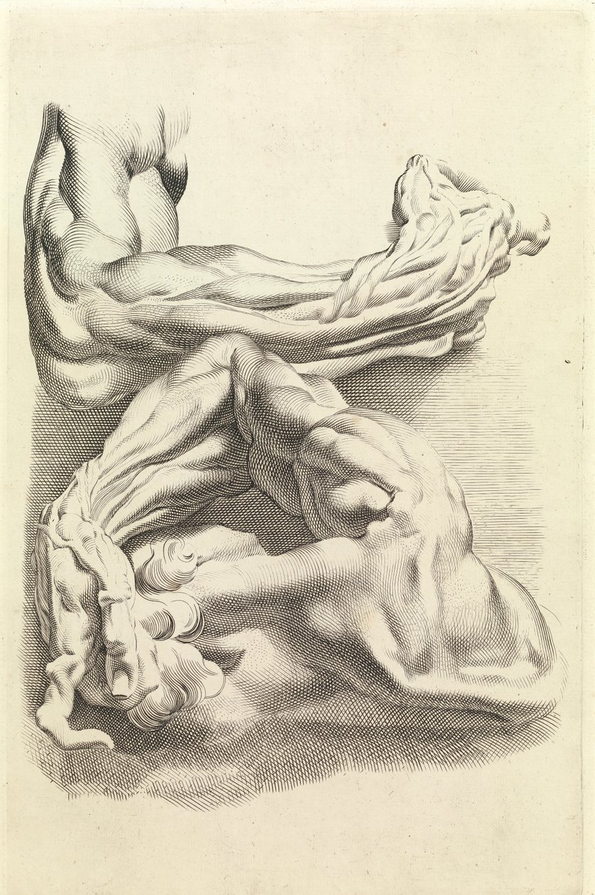 Lihakset (kaiverrus) tekijältä Peter Paul Rubens