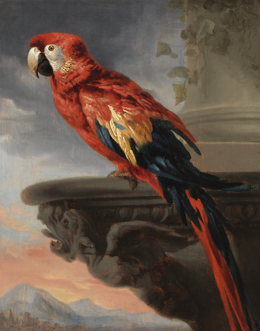 Papukaija, n. 1630-1640 tekijältä Peter Paul Rubens