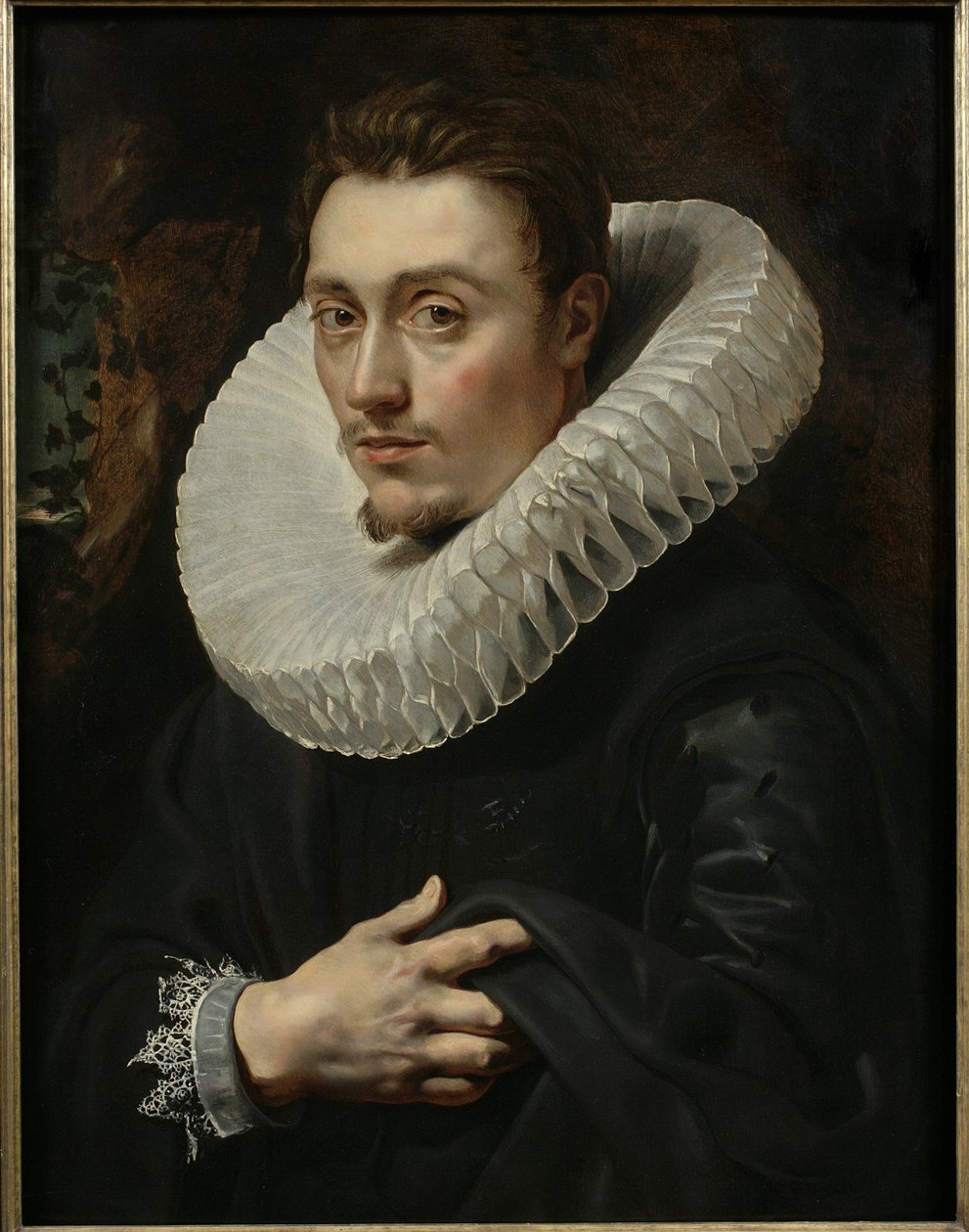Nuoren miehen muotokuva tekijältä Peter Paul Rubens