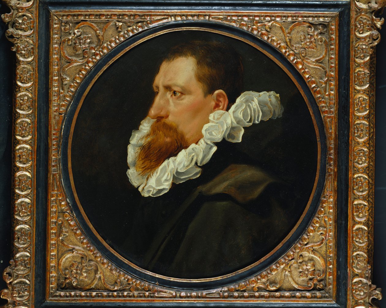 Muotokuva herrasmiehestä, pieni rintakuva, yllään valkoinen röyhelö ja harmaa viitta tekijältä Peter Paul Rubens