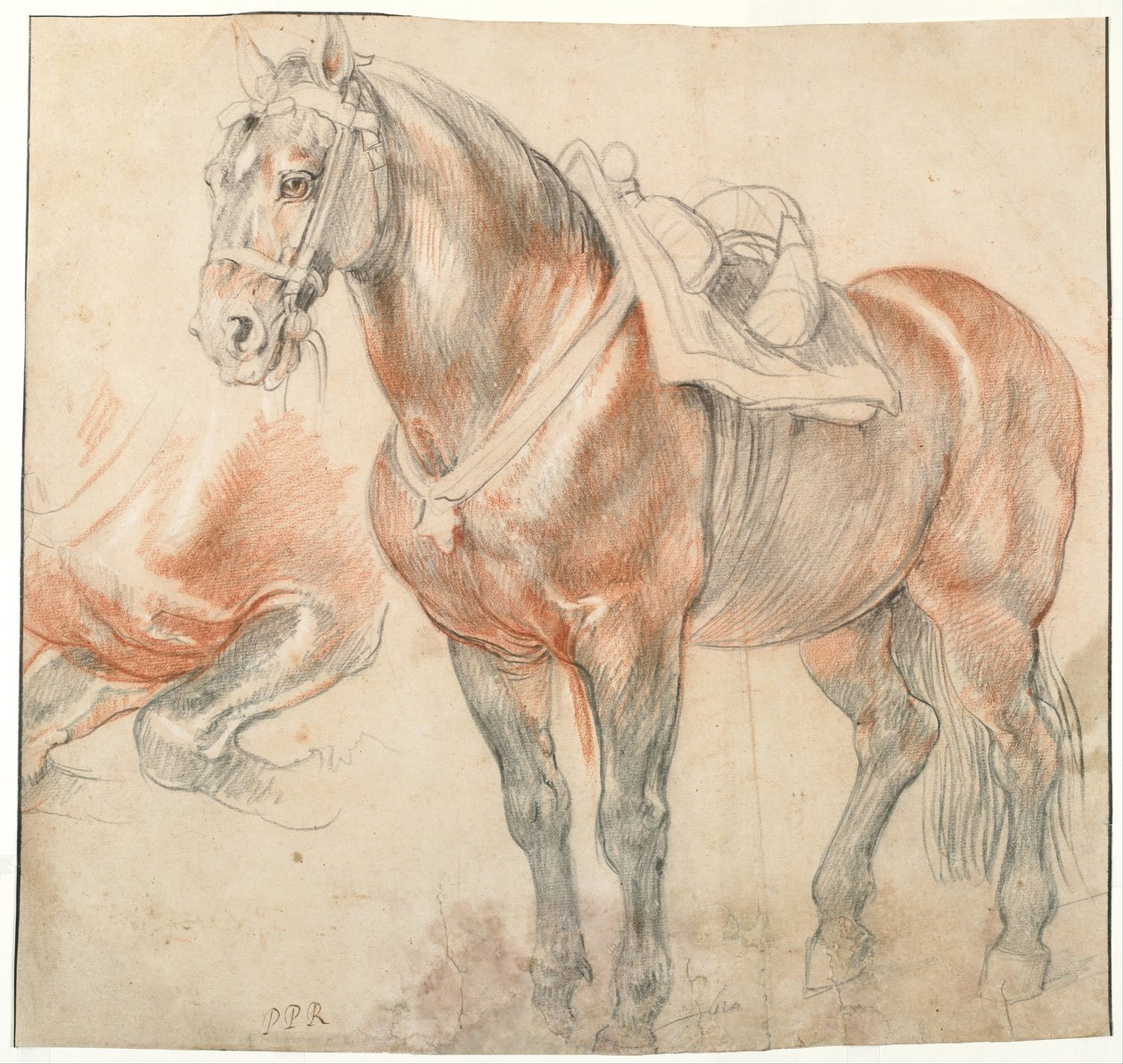 Satulahevonen, n. 1616-1618 tekijältä Peter Paul Rubens