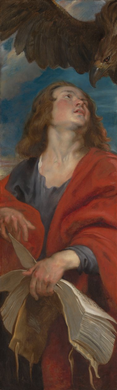 Heiliger Johannes tekijältä Peter Paul Rubens