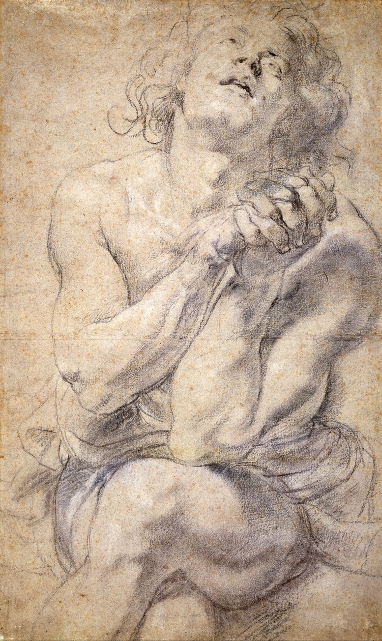 Istuva miesnuoriso (tutkimus Danielille) tekijältä Peter Paul Rubens