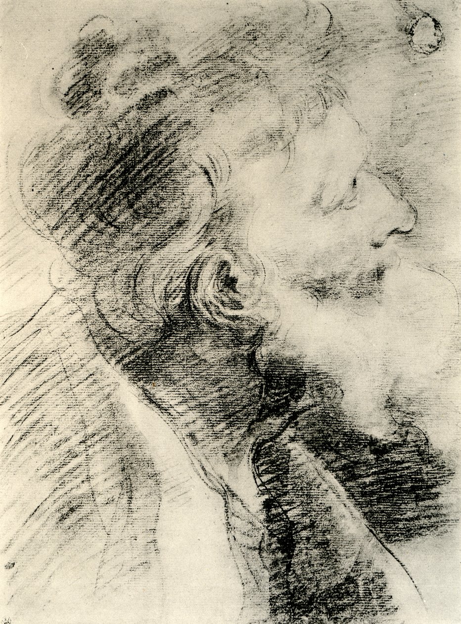 Tutkimus vanhan miehen päälle, 1913. tekijältä Peter Paul Rubens