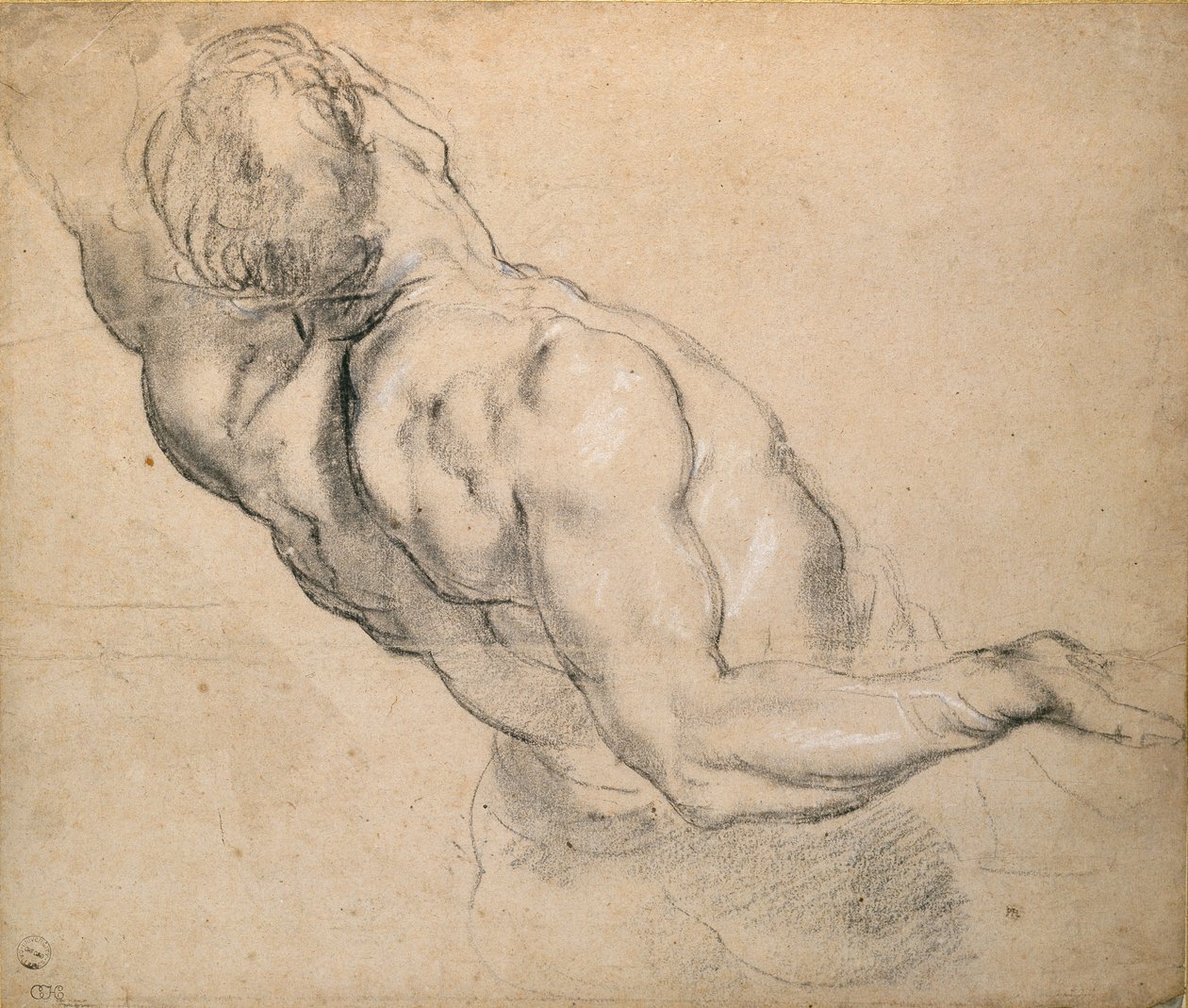 Tutkimus alaston miehen torsosta, 1600-1640 tekijältä Peter Paul Rubens