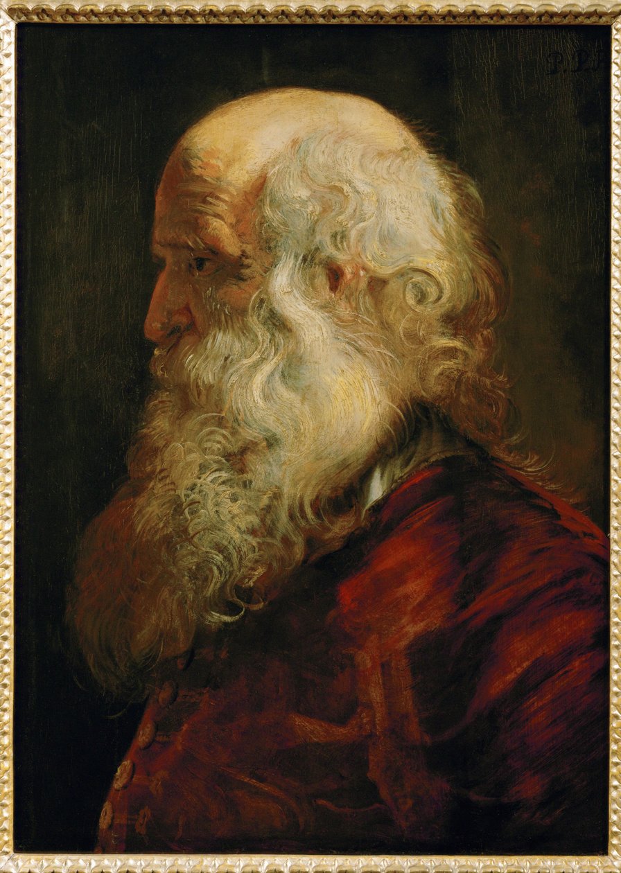 Vanhan miehen opinnäytetyö, noin 1610 (maalaus tammipuulle). tekijältä Peter Paul Rubens