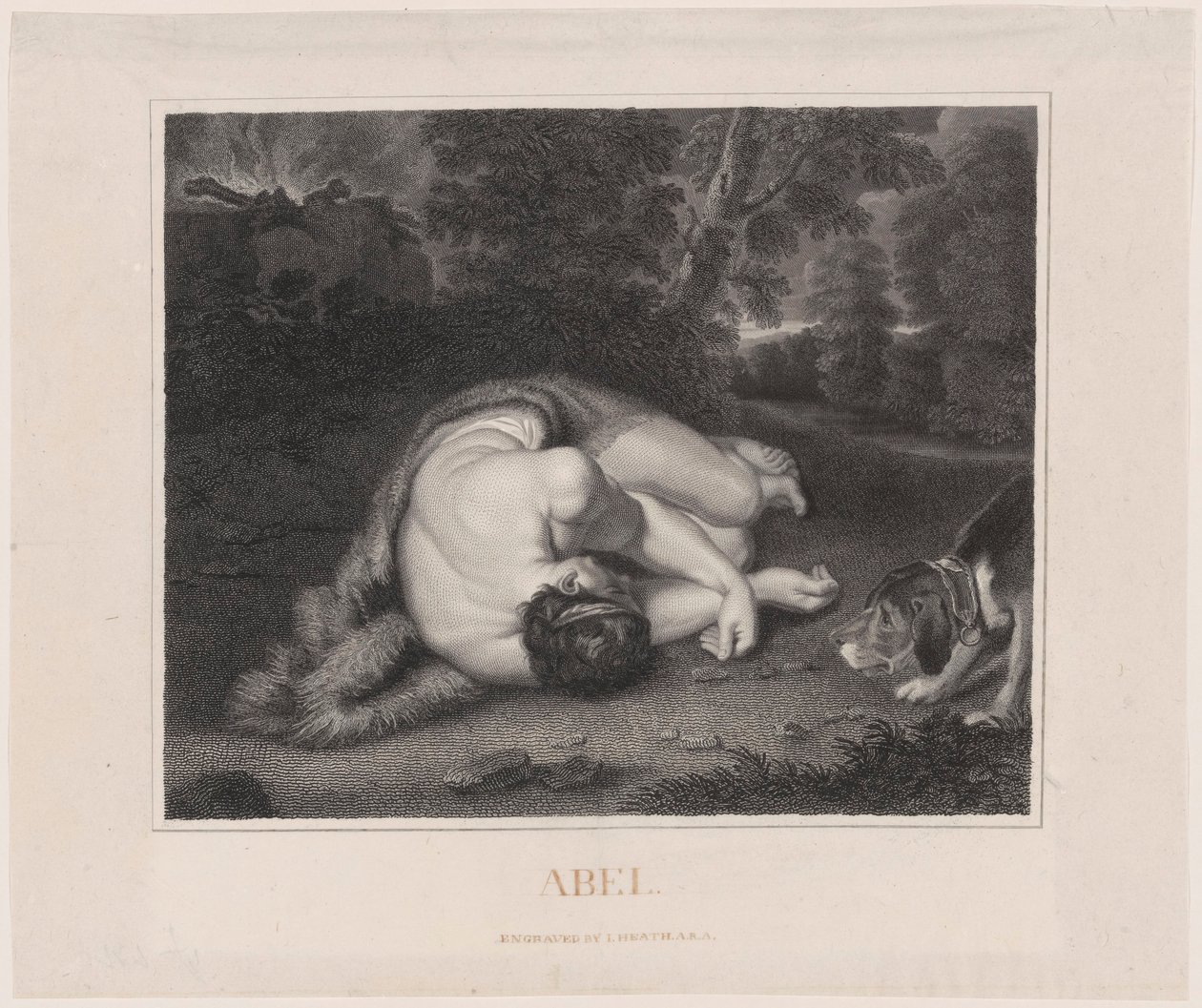 Aabelin kuolema tekijältä Peter Paul Rubens