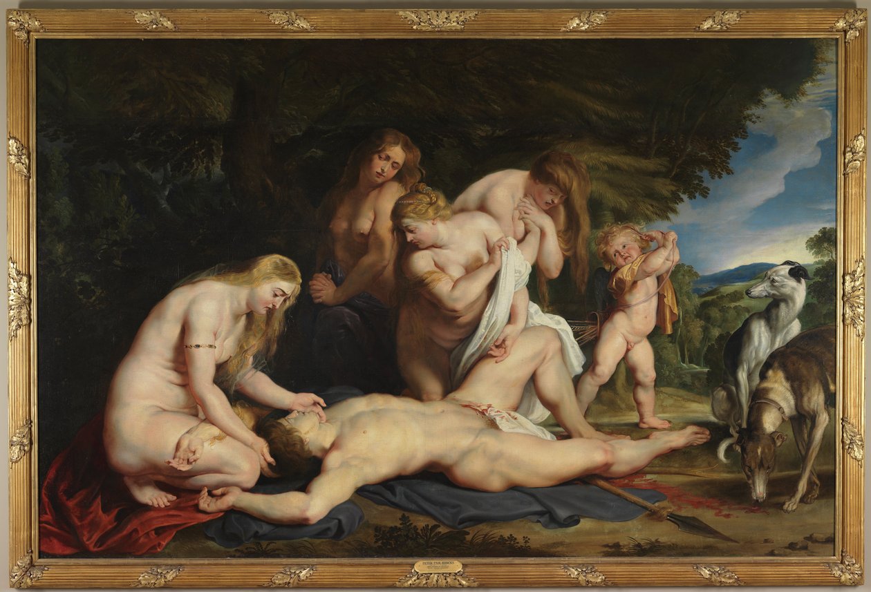 Adoniksen kuolema (Venuksen, Cupidon ja kolmen armojen kanssa) tekijältä Peter Paul Rubens