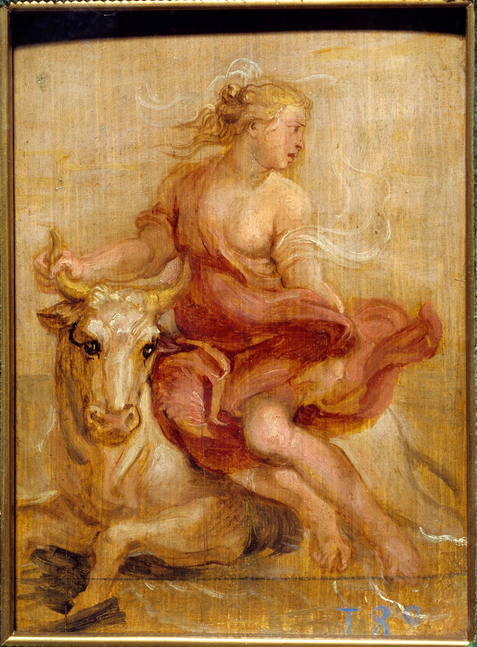 Euroopan sieppaus Veripiirustus Pierre Paul (Pierre-Paul) Rubens (tai Peter Paul tai Petrus Paulus) (1577-1640) Su. 0,18x0,13 m Madrid Prado -museo tekijältä Peter Paul Rubens