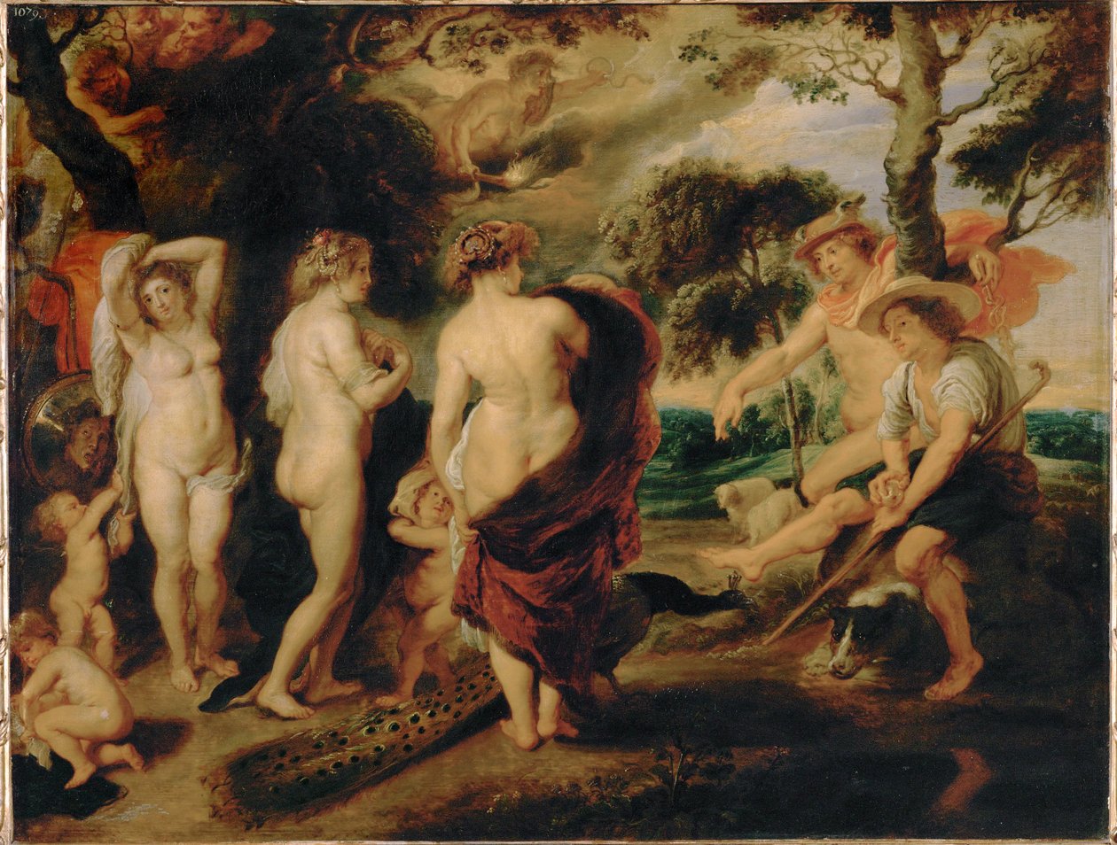 Pariisin tuomio (maalaus tammipuulle) tekijältä Peter Paul Rubens