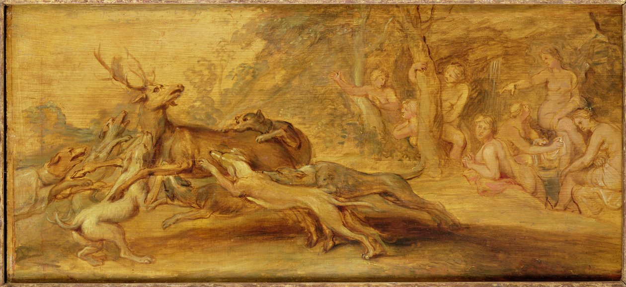 Tuntematon kuva tekijältä Peter Paul Rubens