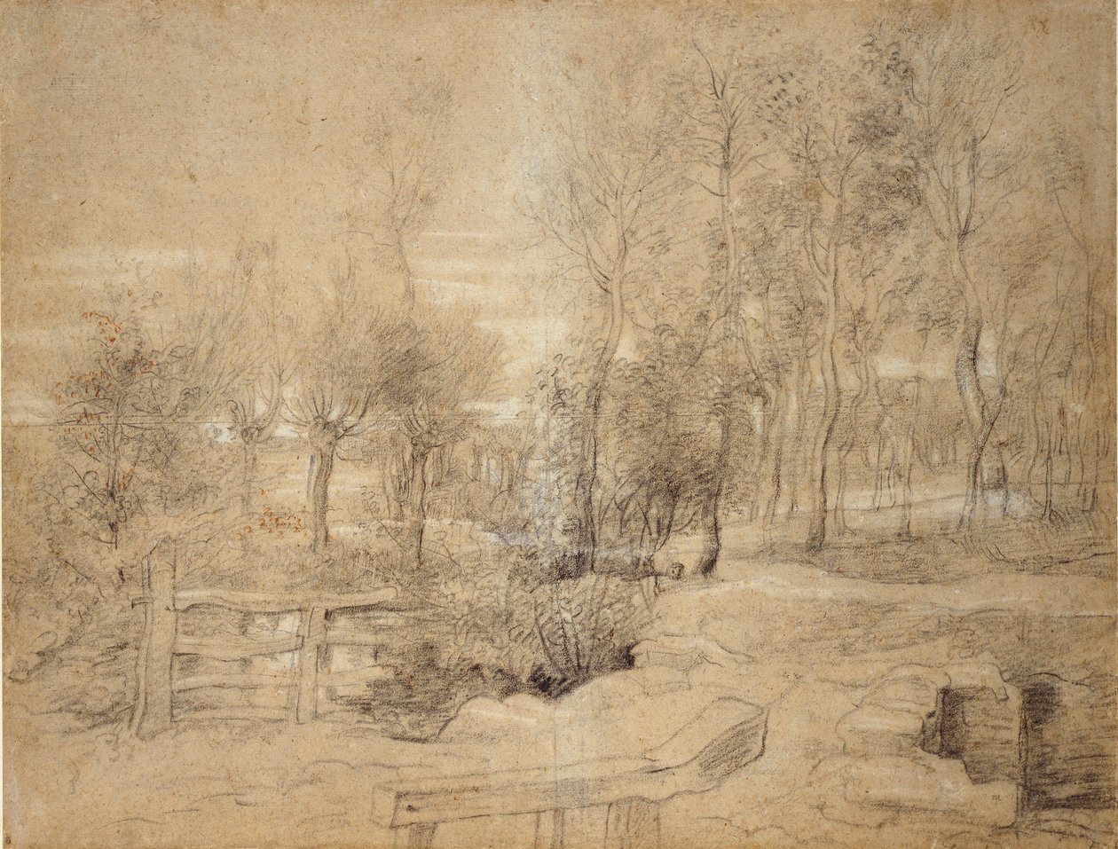 Woodland Scene, 1600-luvun alku tekijältä Peter Paul Rubens