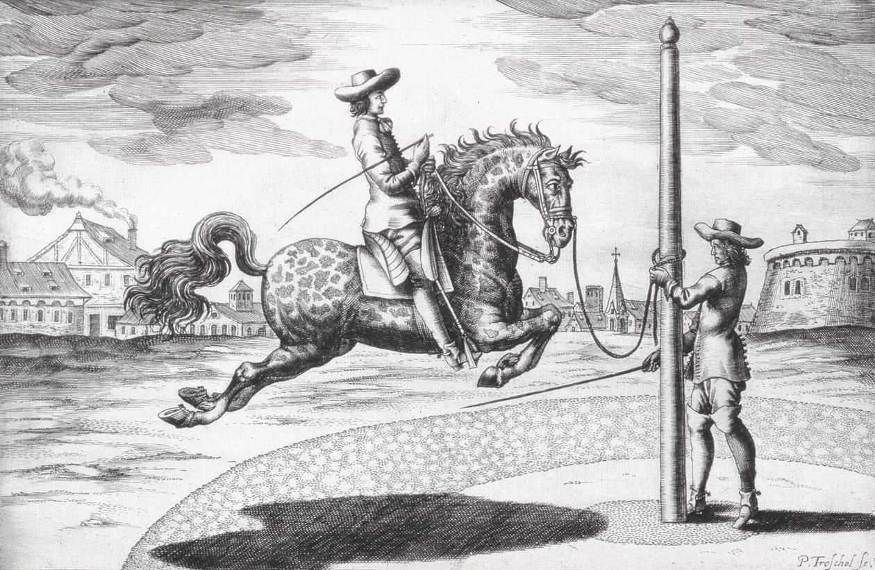 A Horse en Capriole teoksesta New Treatise for Breeding Horses, jonka ovat kirjoittaneet Winters, Stuterey ja Reit-Schul, kaiverrettu taiteilijan toimesta, pub. 1672 kaiverrus tekijältä Peter Paul Troschel