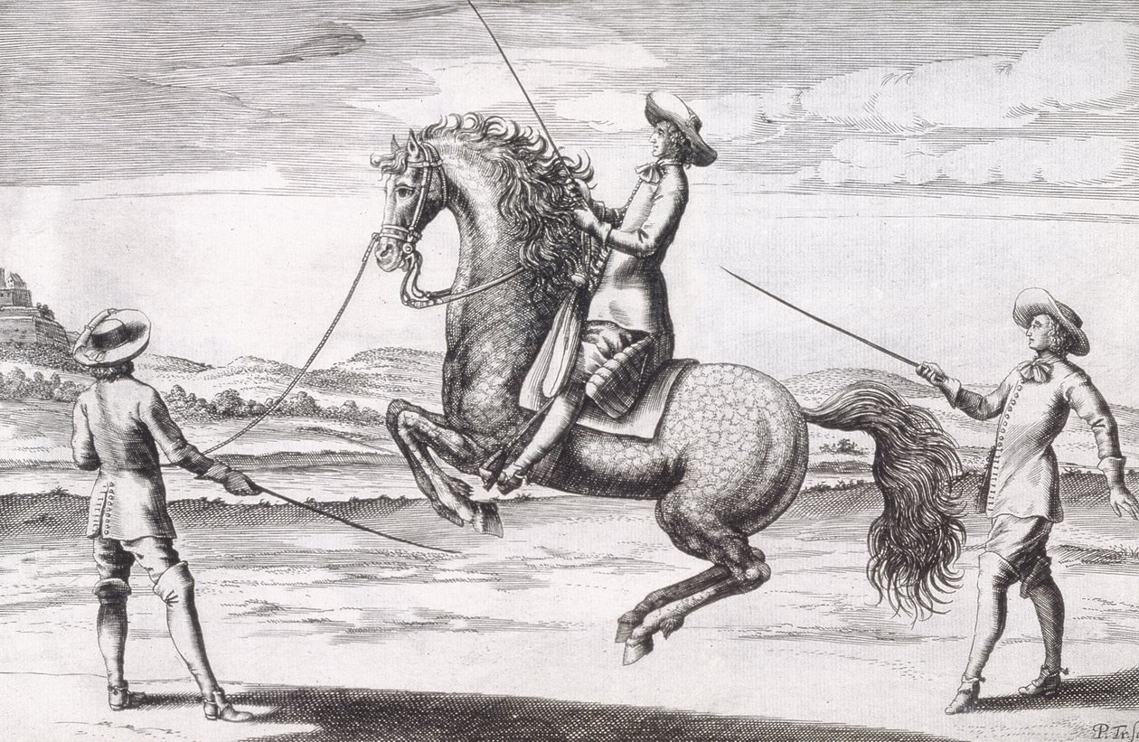 Kuva hevosesta en Croupade Wintersin, Stutereyn ja Reit-Schulin pubin kirjoittamasta uudesta traktaatista jalostushevosista. 1672 tekijältä Peter Paul Troschel
