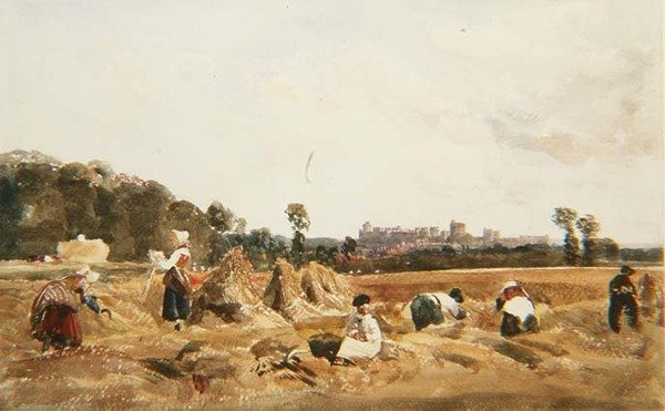PD.129-1950 Cornfield, Windsorfinn tekijältä Peter de Wint