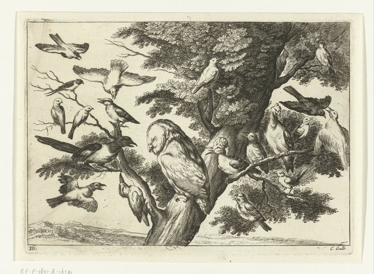 Linnut puussa Diversarum avium -lajit (sarjan nimi) Erilaisia ​​lintuja (sarjan nimi) tekijältä Peter van Liesebetten