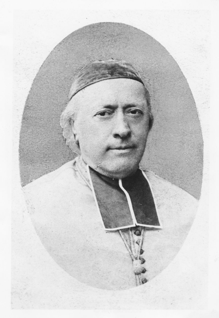 Charles-Emile Freppelin muotokuva tekijältä Petit