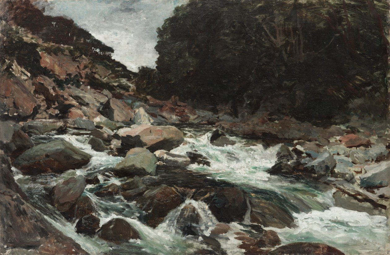 Vuoristopuro, Otira Gorge tekijältä Petrus van der Velden