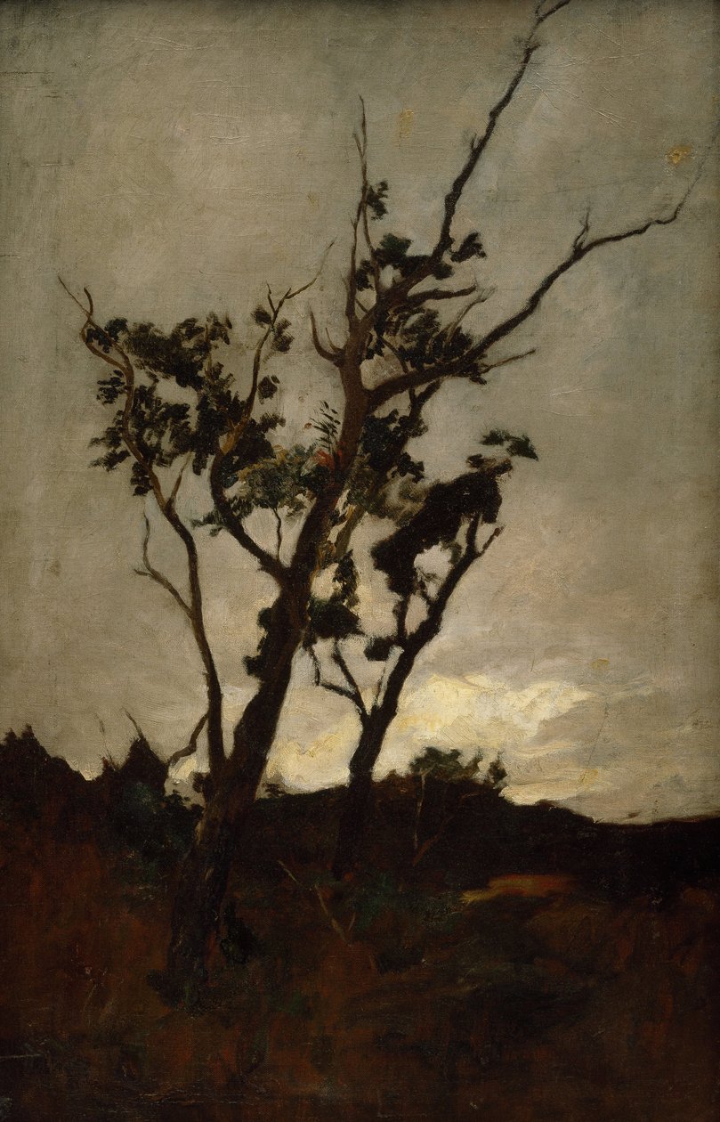 Puustotutkimus tekijältä Petrus van der Velden