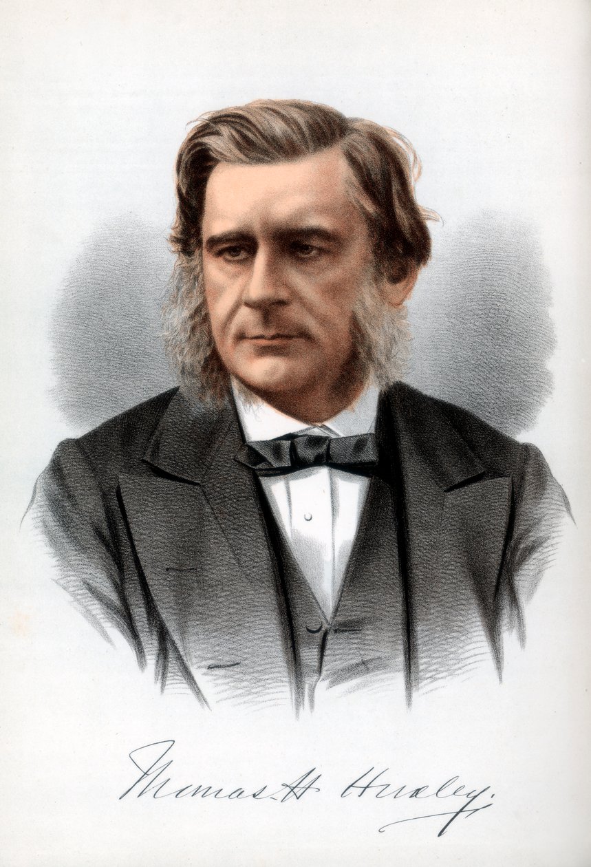 Thomas Henry Huxley, englantilainen biologi, 1890. tekijältä Petter and Galpin Cassell