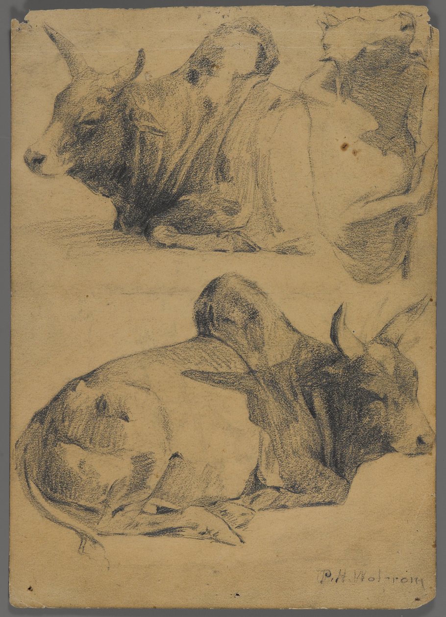 Brahman-sonnit (grafiitti paperille) tekijältä Philip H. Wolfrom