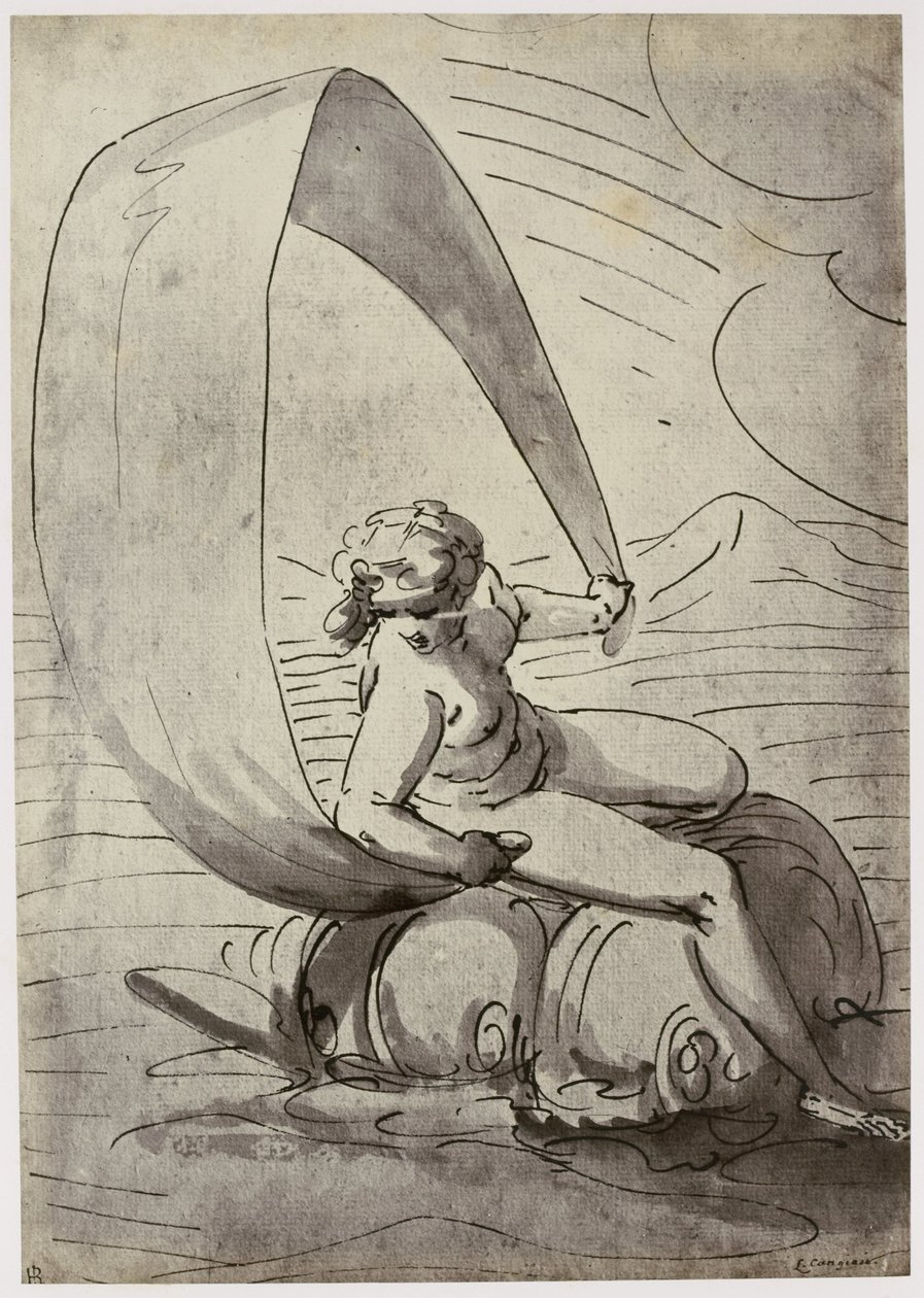 Kangiasis, Galathea tekijältä Philip Henry Delamotte